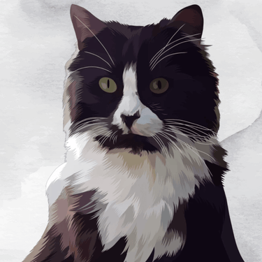 KittyNook Digital Pet Portrait Digital Artwork KittyNook Cat Company Half body Portrait